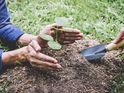 5 June – World Environment Day